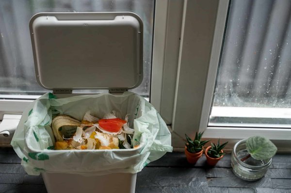 Comment recycler au bureau en 2024 ? Les techniques modernes